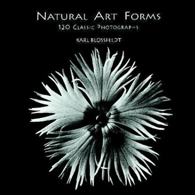 natural art forms