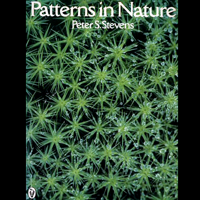 patterns in nature