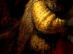 rembrandt_06