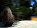Online exhibition of the Zen Gardens and its relation with architecture