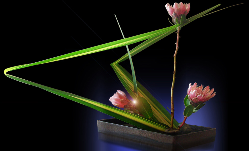 ikebana_024